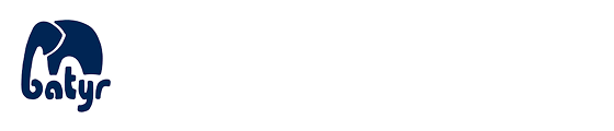 batyr logo