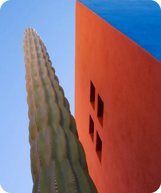 A cactus grows beside a colorful building