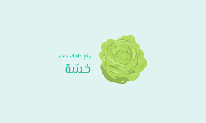 يبلغ طفلك حجم خسّة