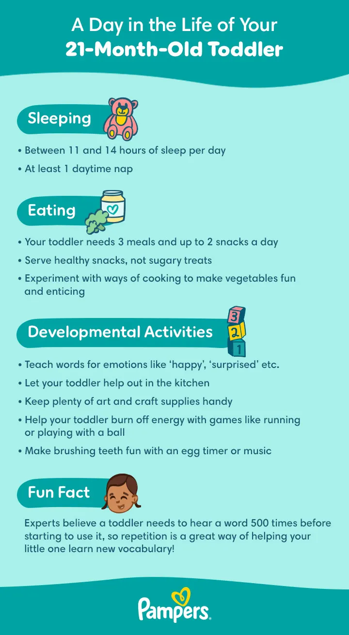 21-Month-Old Toddler Daily Routine
