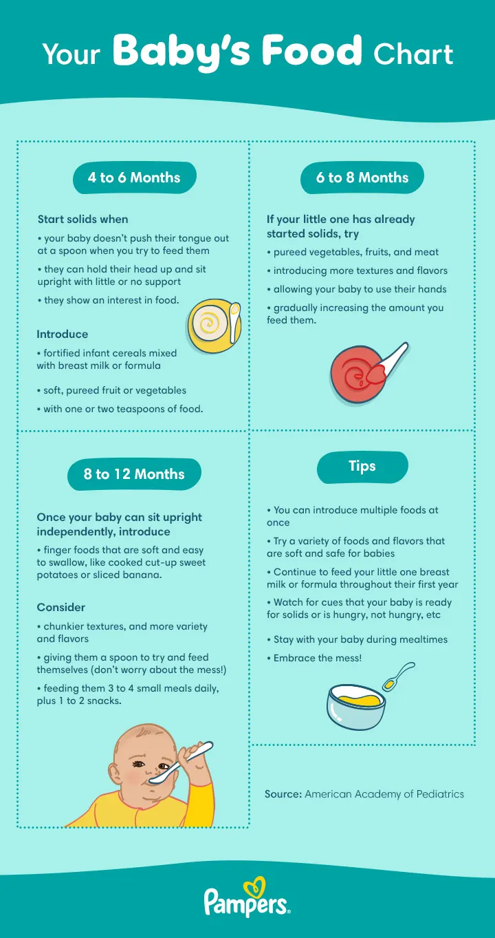 baby food chart