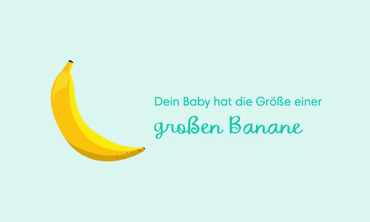 Illustration einer Banane als Größenvergleich – Dein Baby hat die Größe einer großen Banane