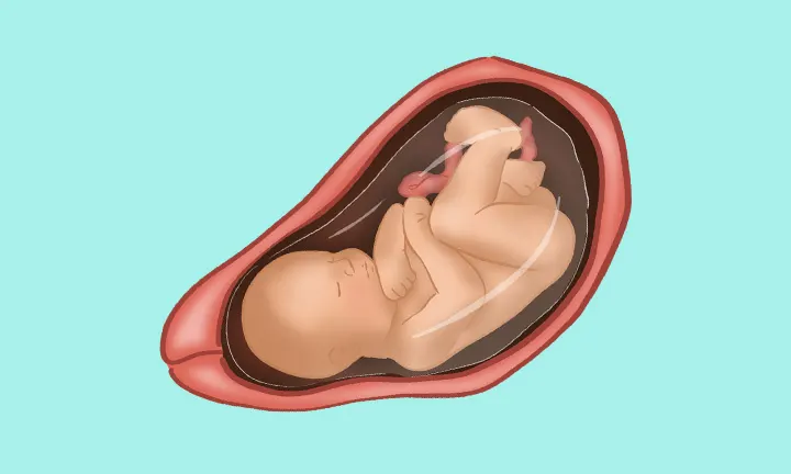 baby at 34 weeks pregnant