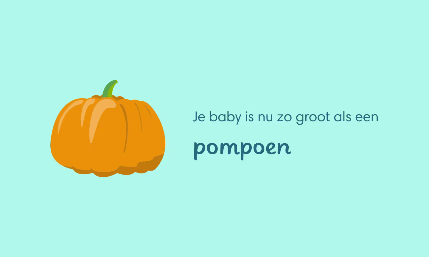 Je baby is nu zo groot als een pompoen