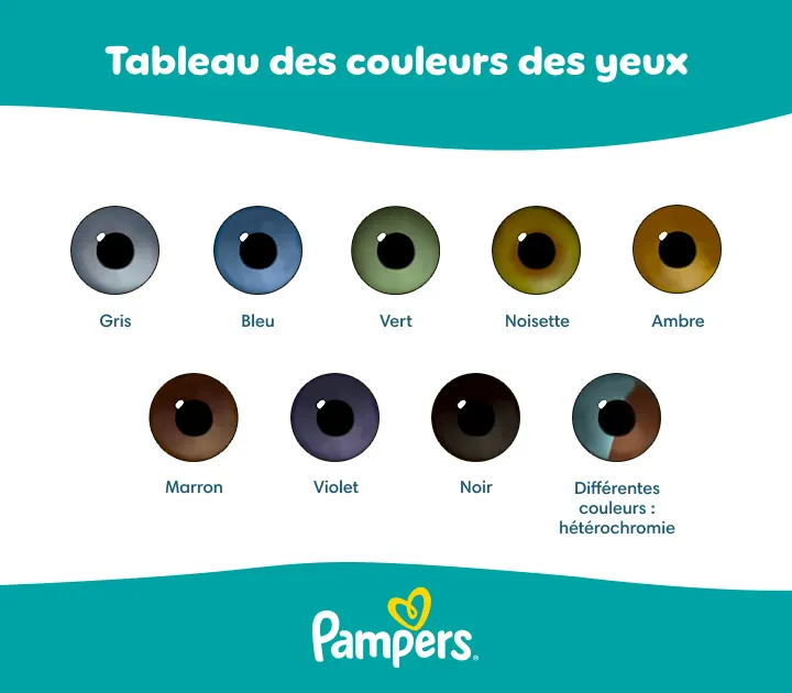 Tableau des couleurs des yeux Tableau des couleurs des yeux