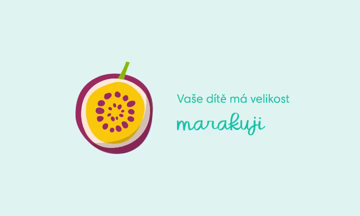 pregnancy-week-by-week-week-12