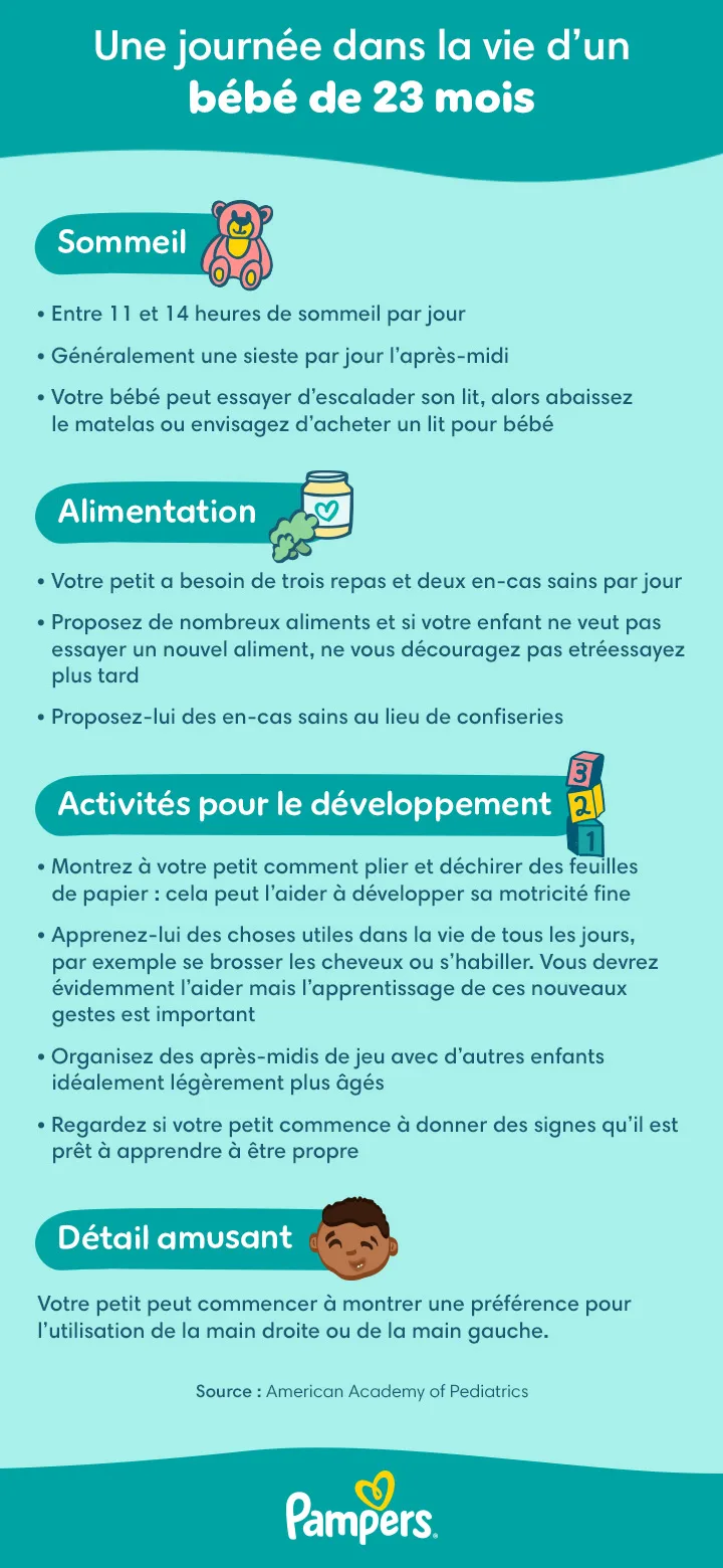 Une journée dans la vie d’un bébé de 23 mois Journée type d’un tout-petit de 23 mois