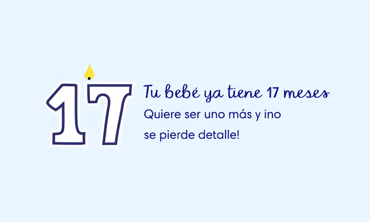 Bebé De 17 meses
