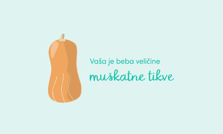 pregnancy-week-by-week-week-29