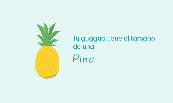 Desarrollo de tu guagua en la semana 33 de embarazo