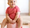 Potty Training Tips: toddler sitting happily on potty