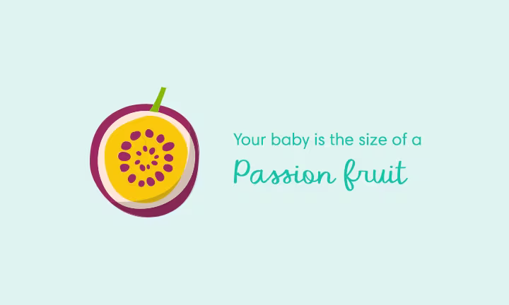 Your baby is the size of a passion fruit