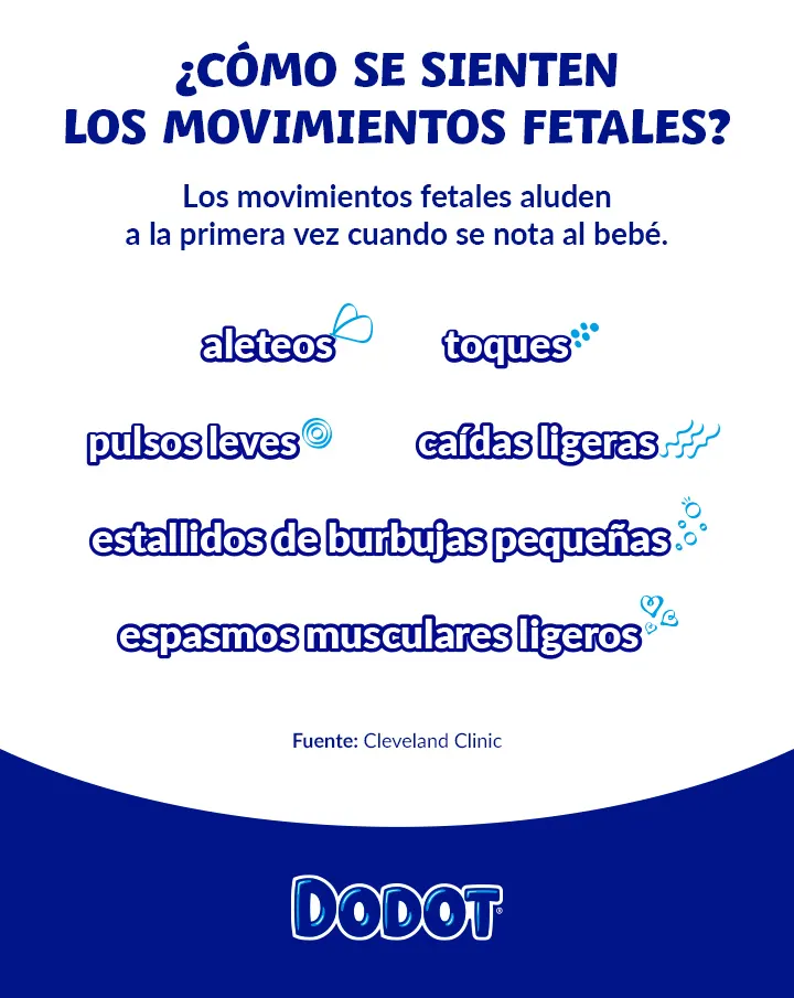 ¿Cómo se sienten los movimientos fetales?