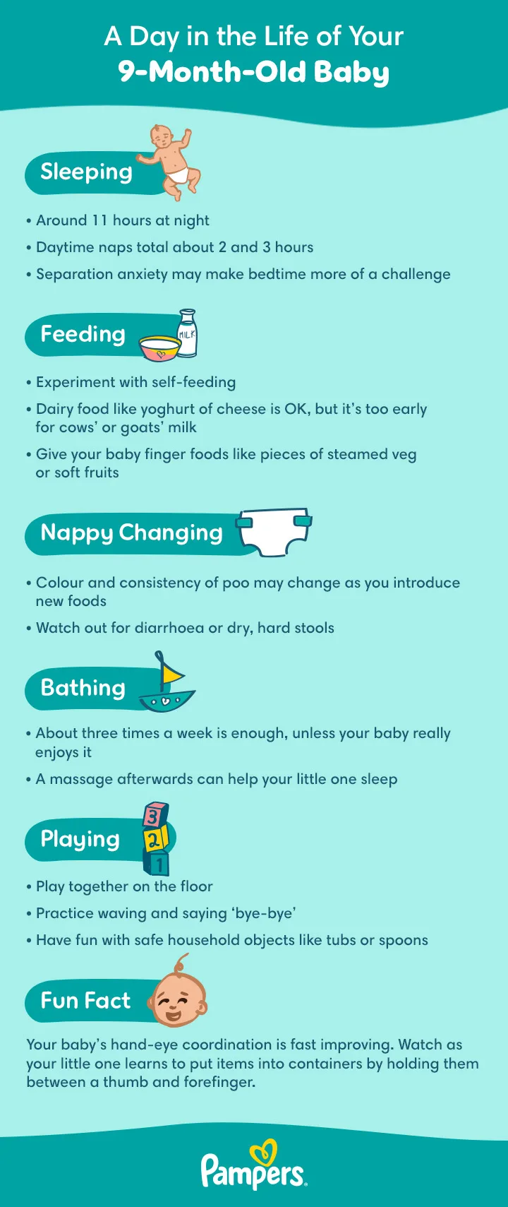 A Day in the Life of Your 9-Month-Old Baby A Day in the Life of Your 9-Month-Old Baby