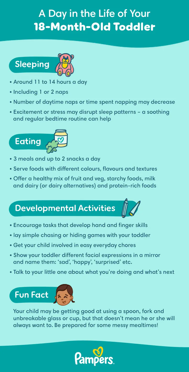 18-Month-Old Daily Routine 18-Month-Old Daily Routine