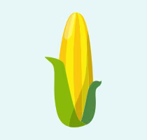 Ear of corn icon