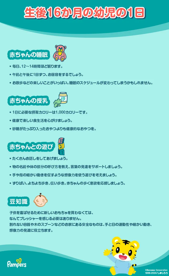 生後16ヶ月の幼児の１日のスケジュール