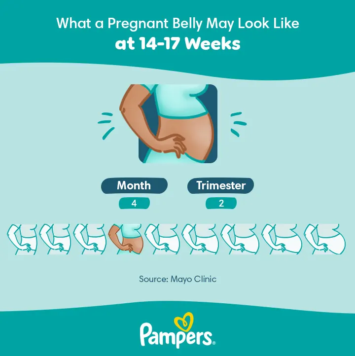 14 weeks pregnant belly 14 weeks pregnant belly