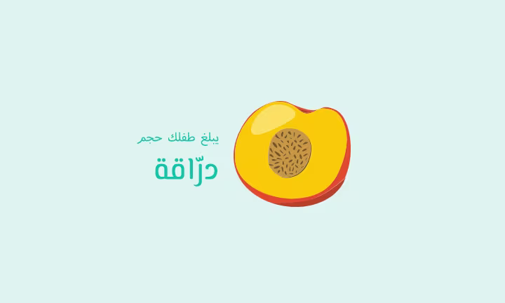 يبلغ طفلك حجم درّاقة