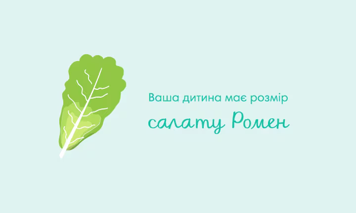 pregnancy-week-by-week-week-36