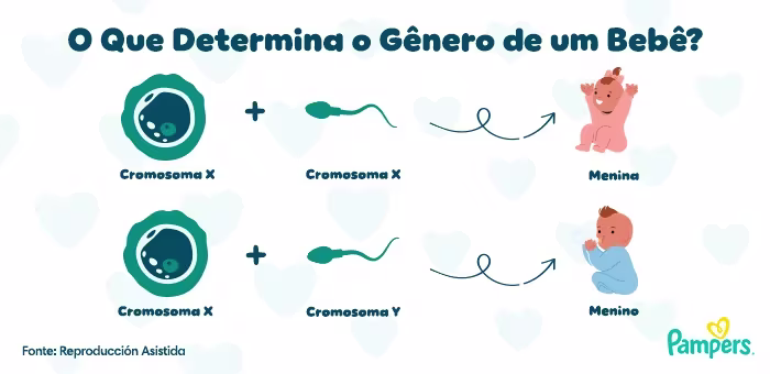 como saber se é menino ou menina