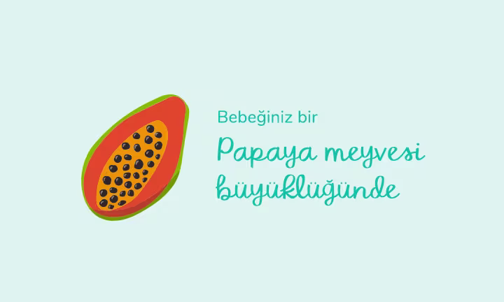 Your baby is the size of a papaya