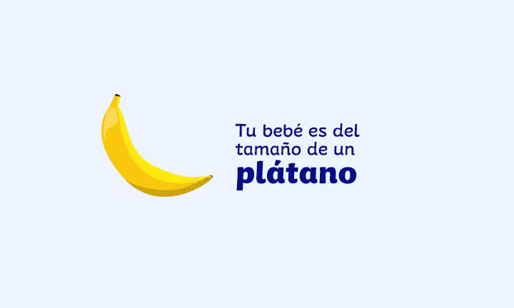 Semana 21 de embarazo
