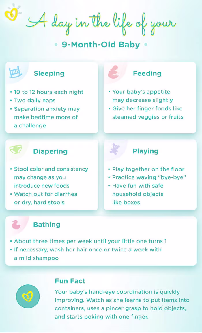 9 month old Daily-Routine 9 month old Daily-Routine