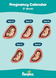 5 Month Baby Bump 21 Weeks Pregnant Baby Development Diet Nestl 5 Month Baby Bump 21 Weeks Pregnant Baby Development Diet Nestl