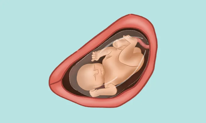 baby at 32 weeks pregnant