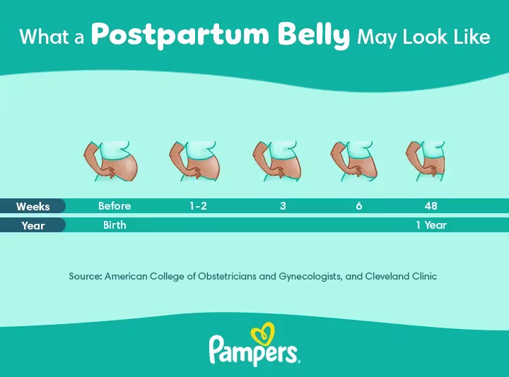 Pampers Postpartum belly
