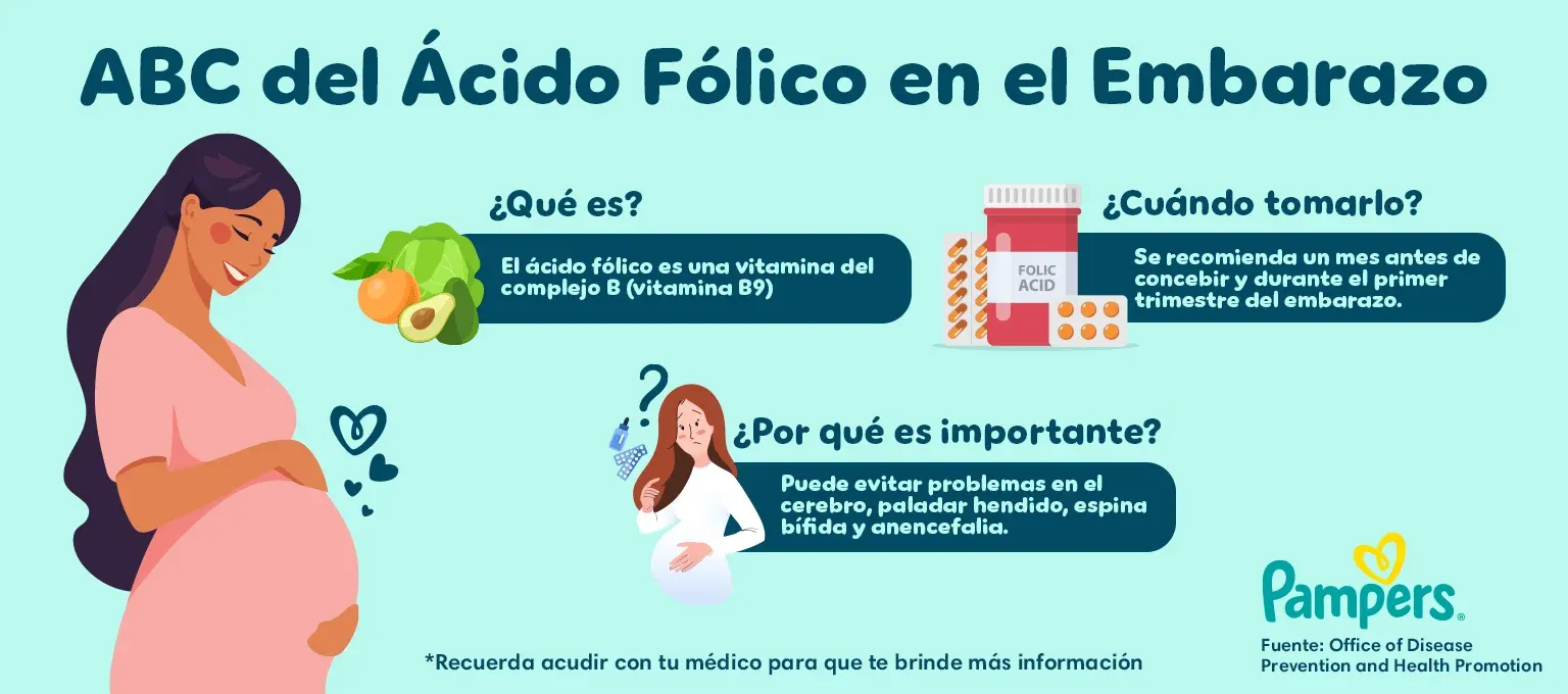 ¿Qué hace el ácido fólico en el feto?