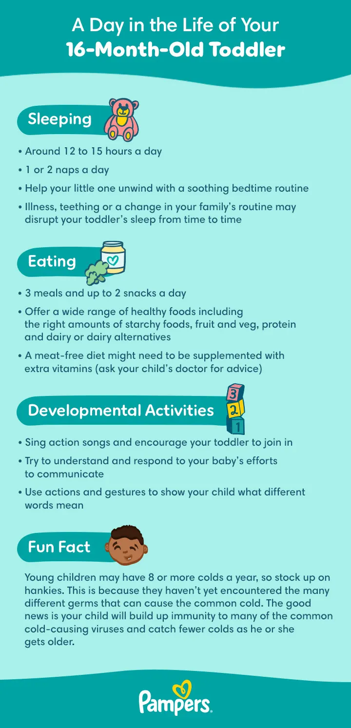16-month-old Toddler daily routine