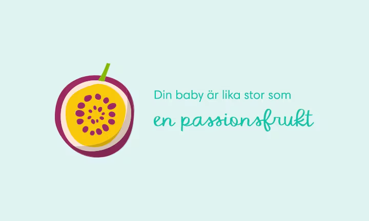 Week 12 pregnancy