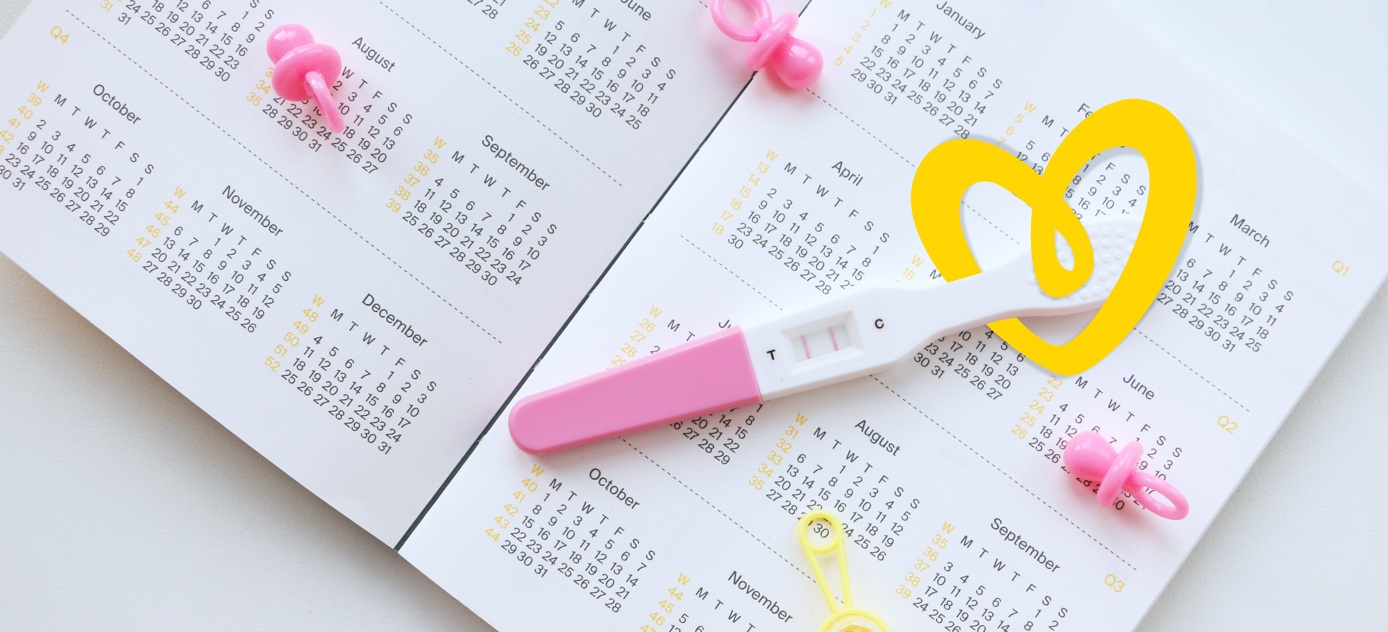 Pregnancy due date calculator
