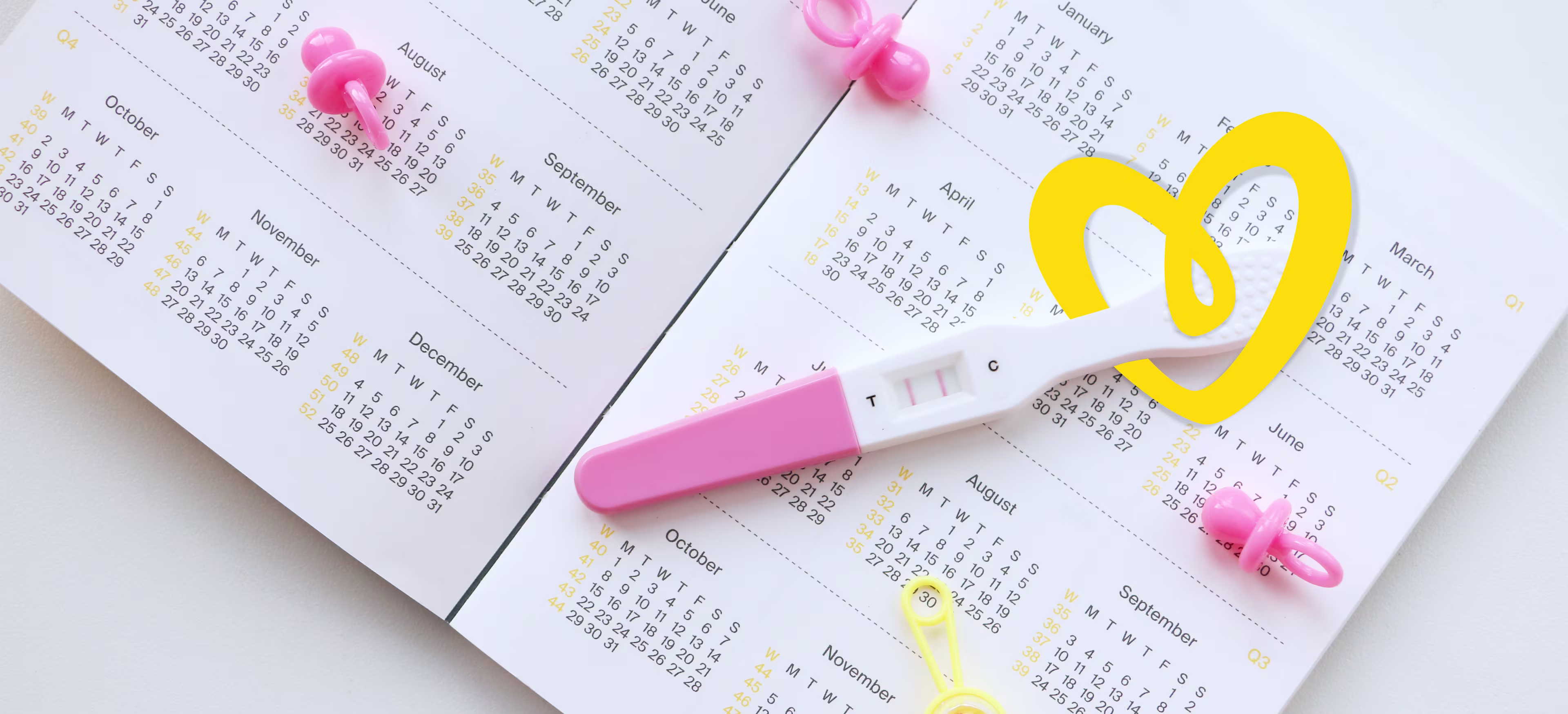 Pregnancy due date calculator