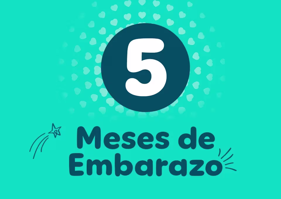 5 meses de embarazo