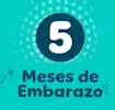 5 meses de embarazo