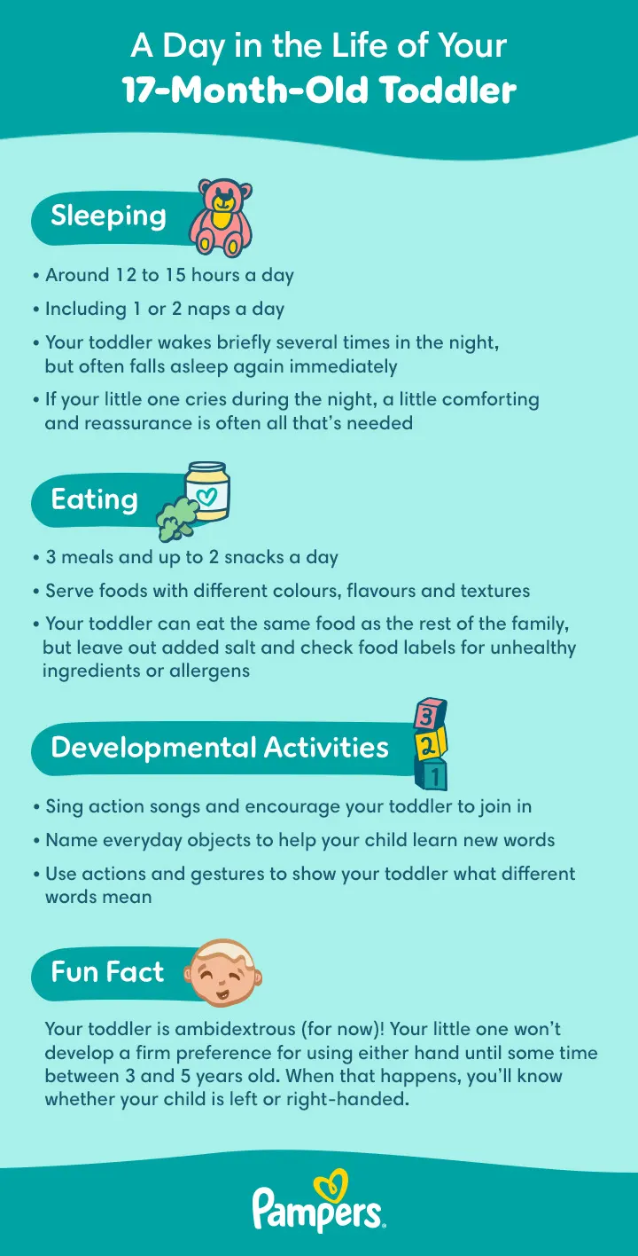 17-month-old Toddler Daily Routine 17-month-old Toddler Daily Routine