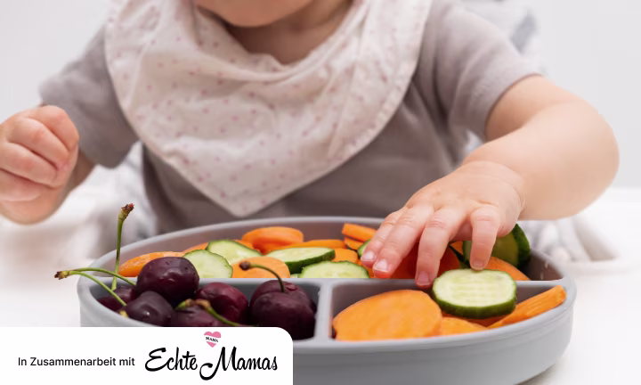 Was ist Baby Led Weaning?