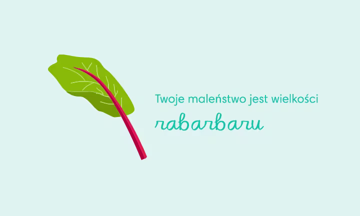 baby size of rhubarb week 38