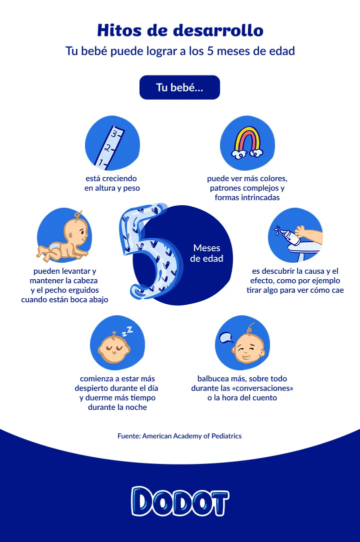 Infographic ES D BabyDevelopmentalMilestones 5 month old 720px