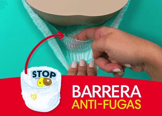 Barra Anti-fugas