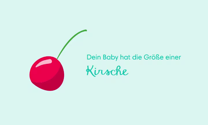 Illustration einer Kirsche als Größenvergleich – Dein Baby hat die Größe einer Kirsche