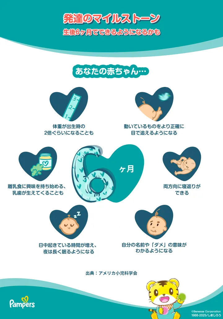 6ヵ月のマイルストーン