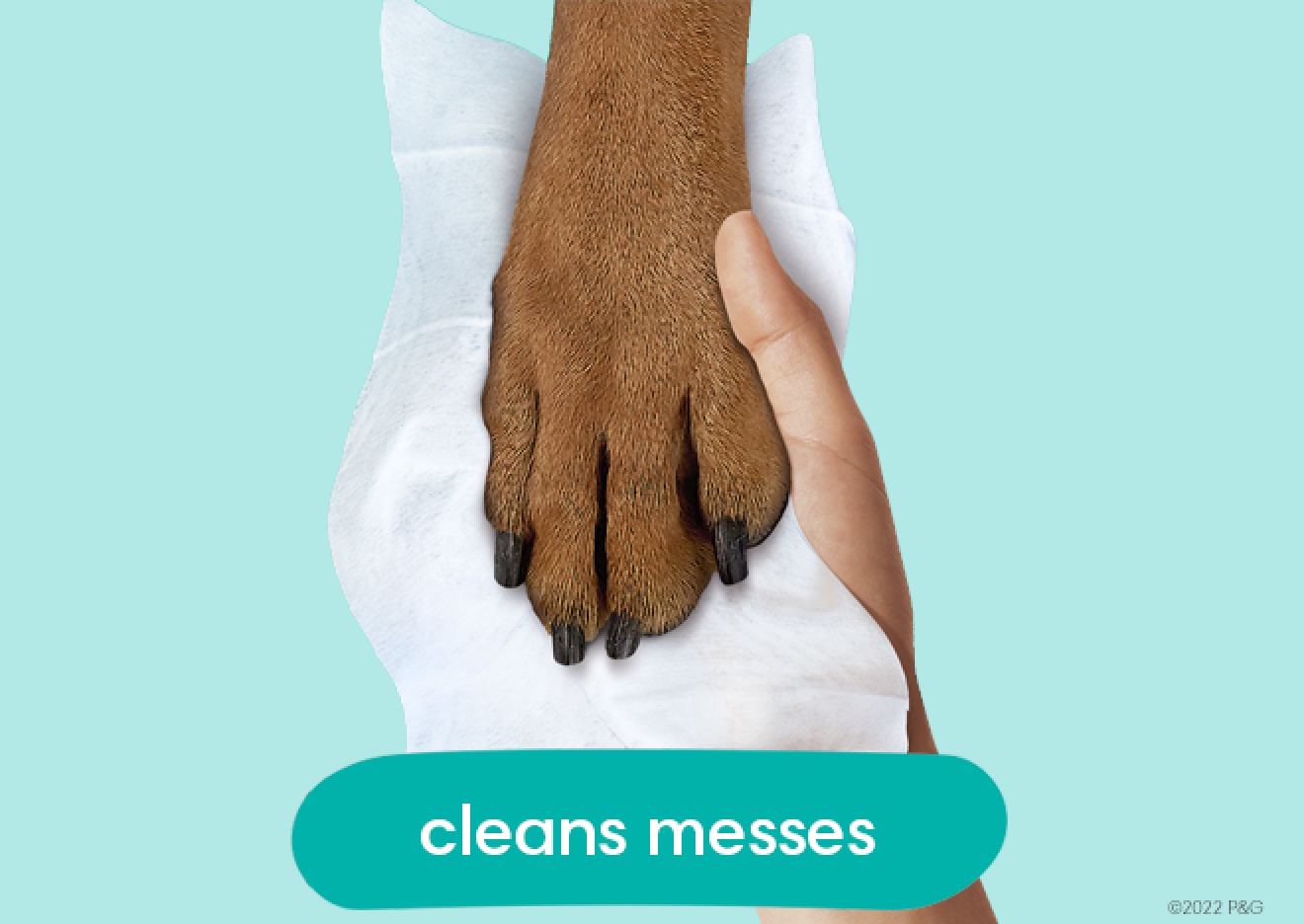 L’image montre une lingette à multiples usages utilisée pour nettoyer une patte de chien