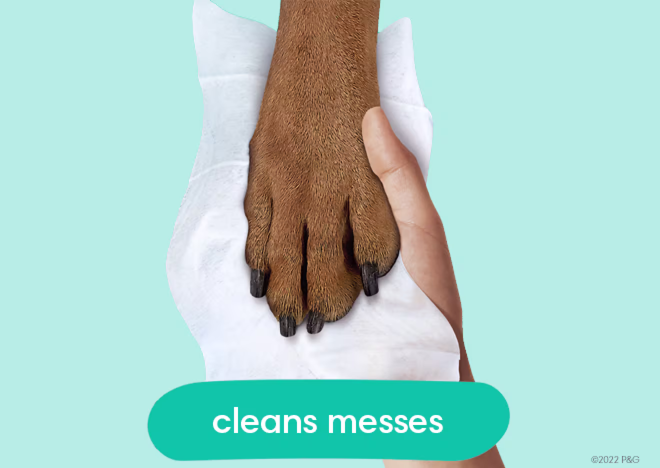 L’image montre une lingette à multiples usages utilisée pour nettoyer une patte de chien