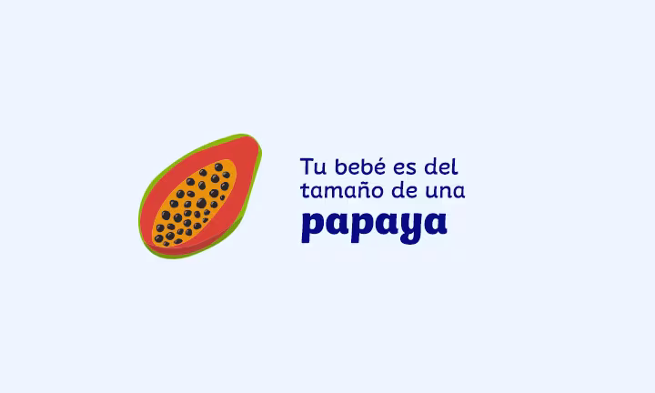Semana 22 de embarazo
