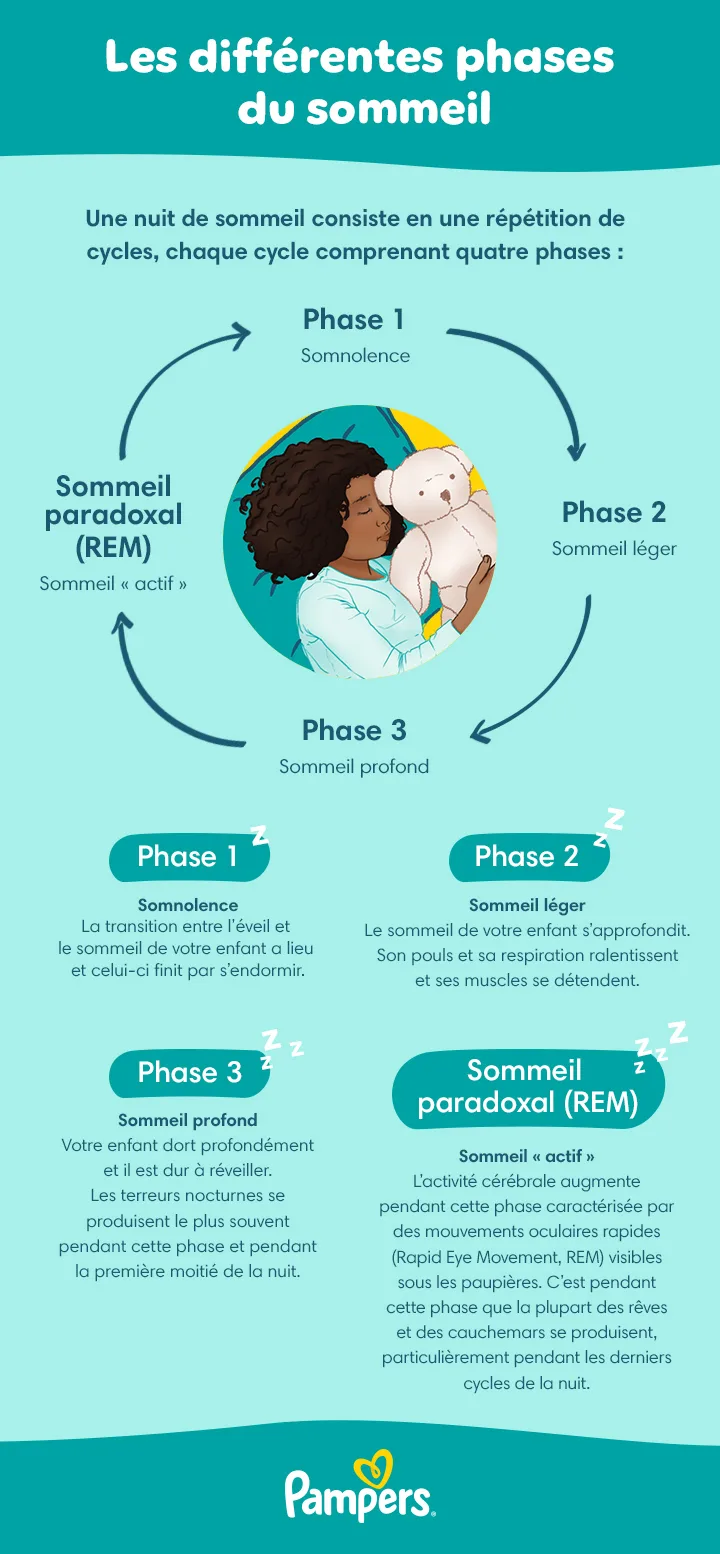 Les différentes phases du sommeil