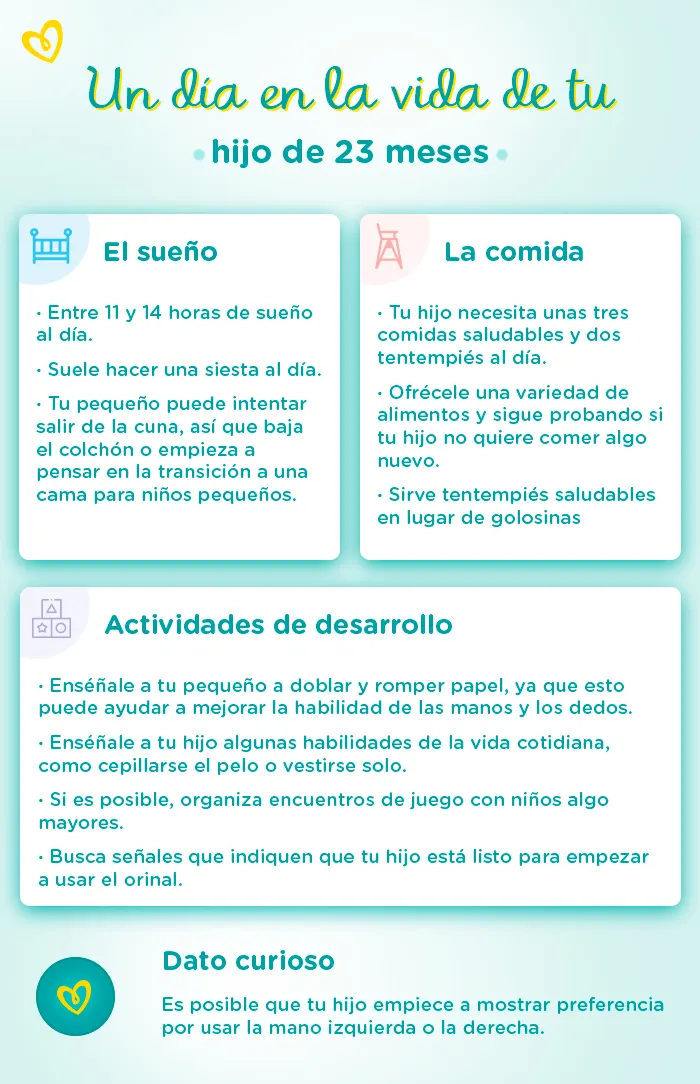 Ehub PampersLATAM Imágenes para nuevos artículos EEUU a day in the life PE